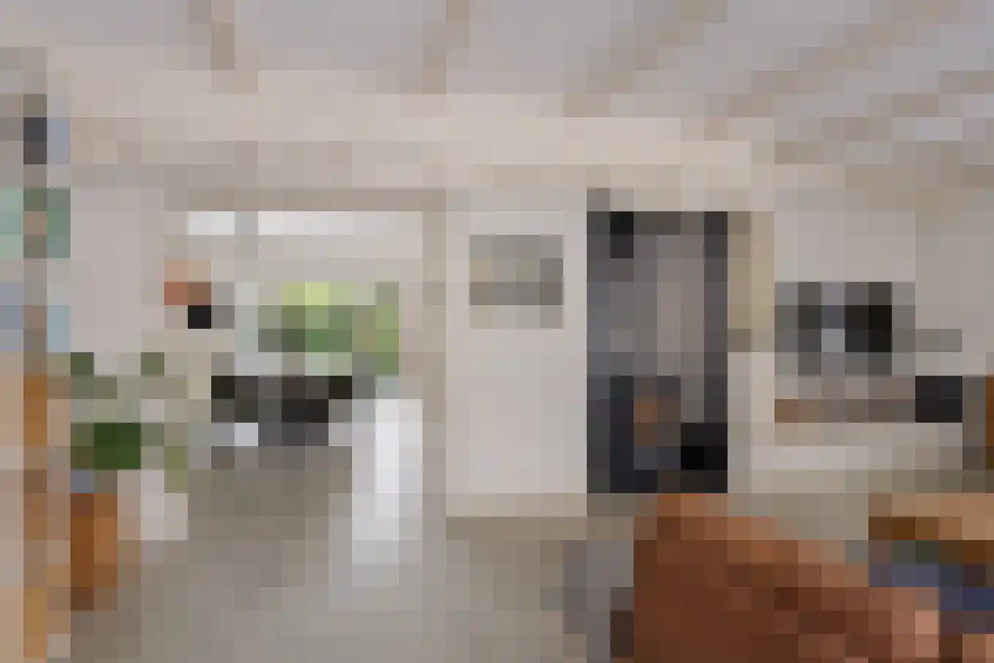 Kastanjestraat 19 Bentelo thumbnail 21