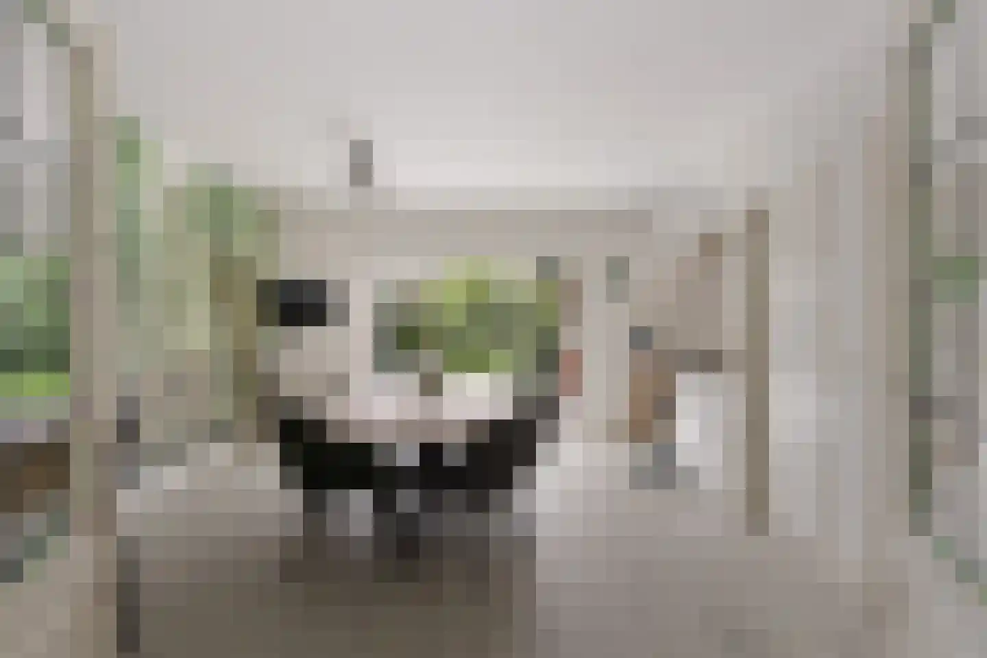 Kastanjestraat 19 Bentelo thumbnail 22