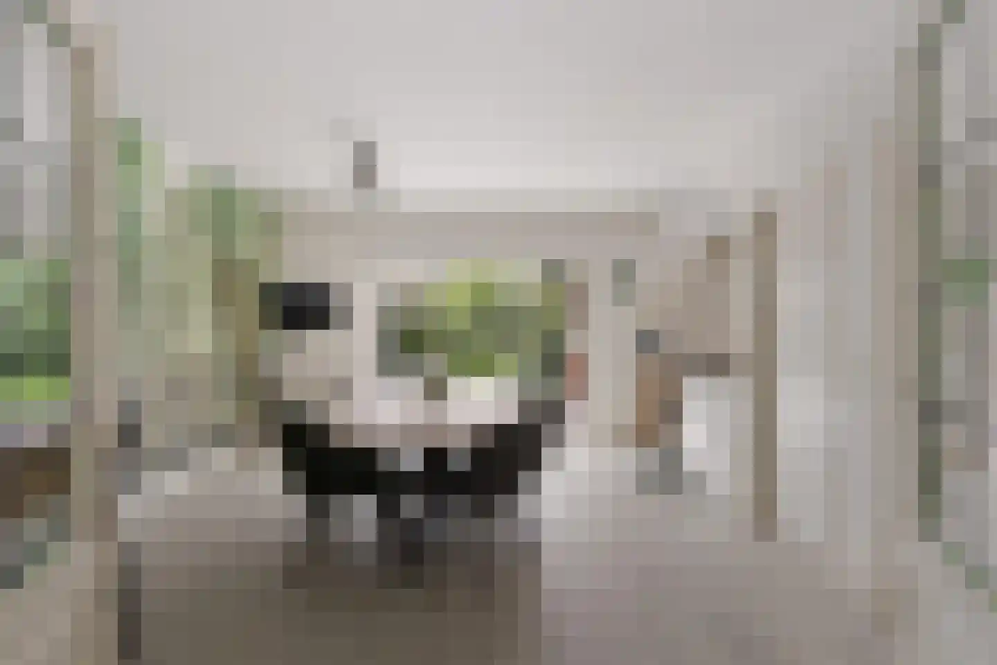 Kastanjestraat 19 Bentelo thumbnail 4