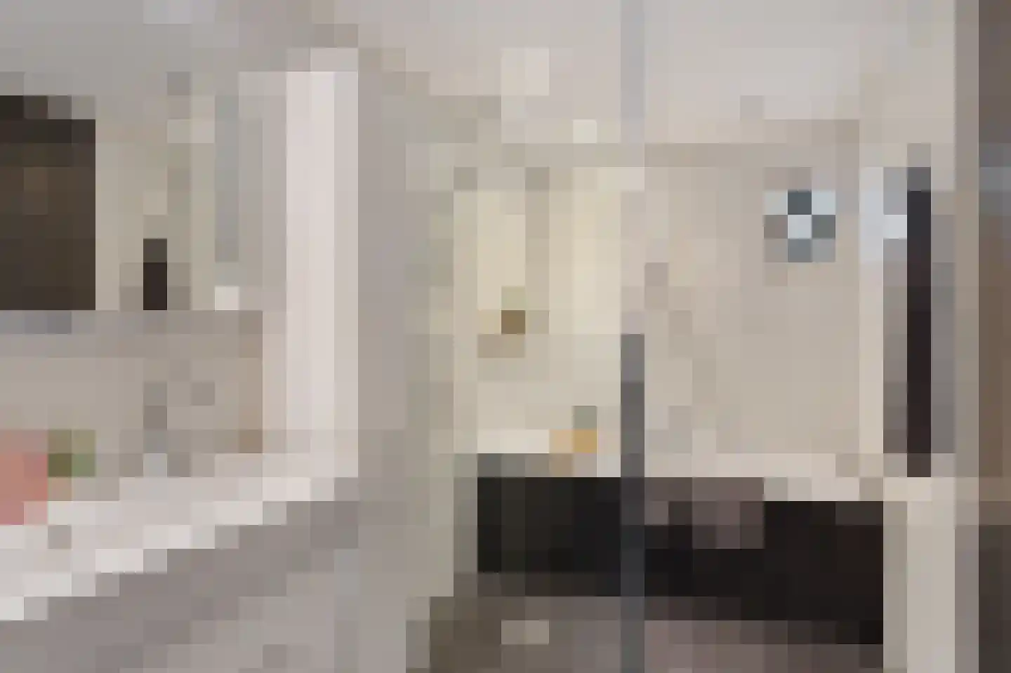 Kastanjestraat 19 Bentelo thumbnail 51
