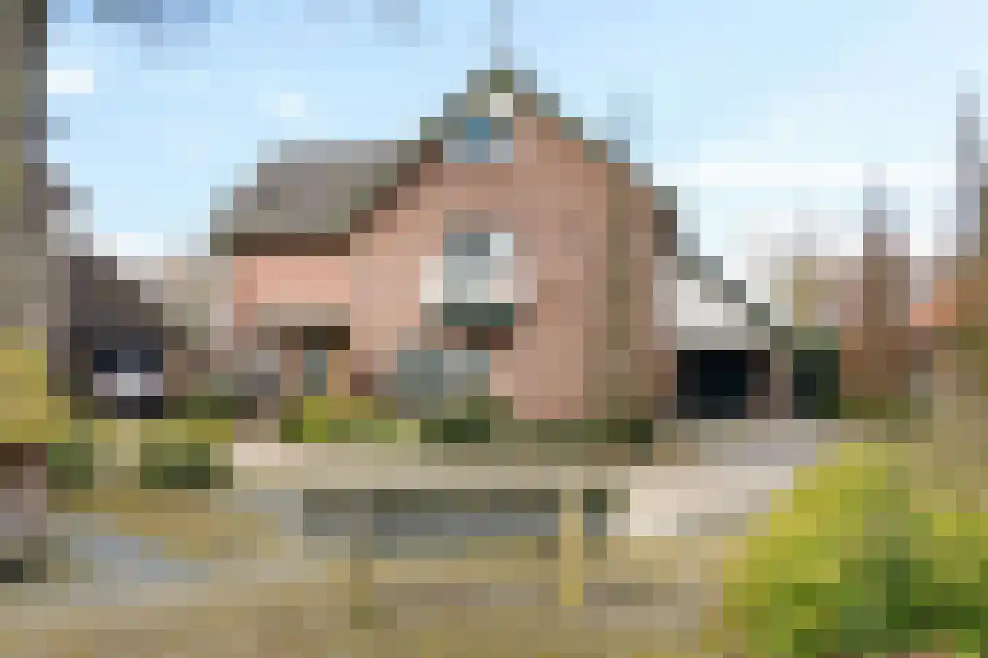 Kastanjestraat 19 Bentelo thumbnail 7