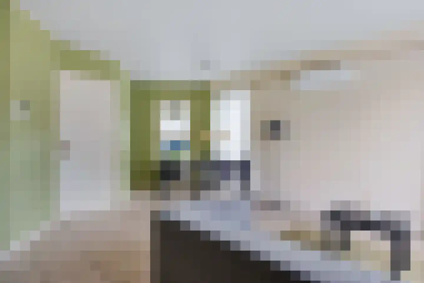 Kastanjestraat 19 Bentelo thumbnail 71
