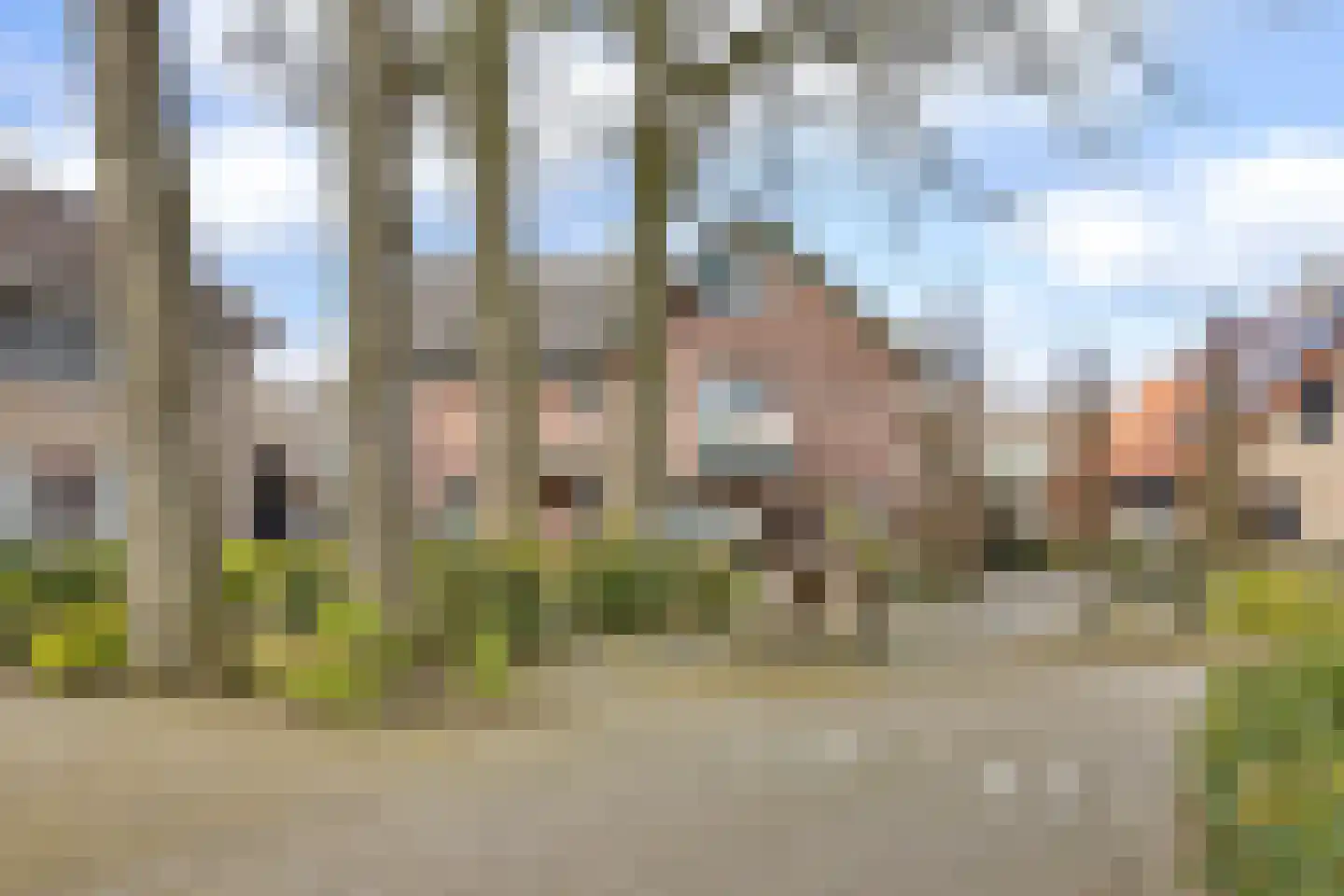 Kastanjestraat 19 Bentelo thumbnail 9