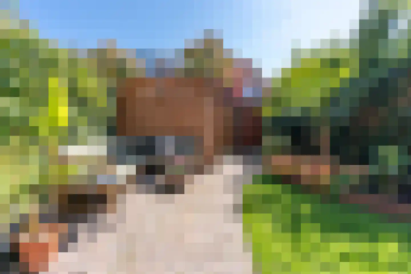 Kastanjestraat 19 Utrecht thumbnail 9