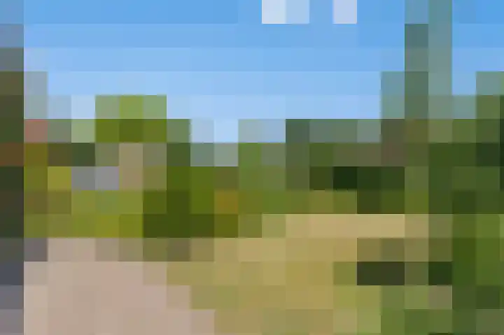 Kastanjestraat 20 Vogelwaarde thumbnail 4
