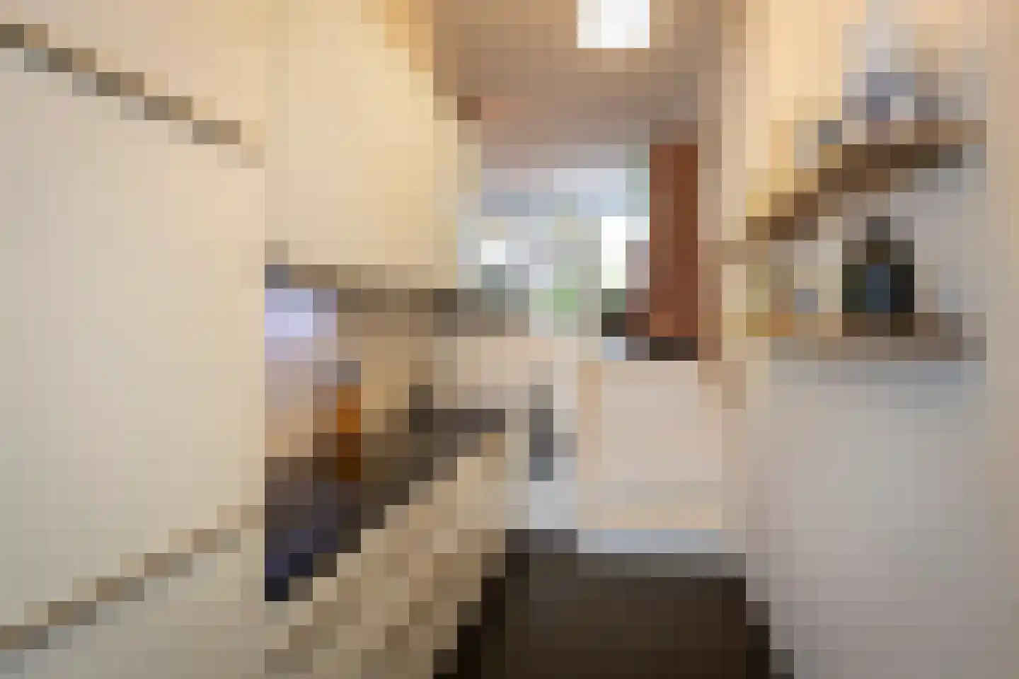 Kastanjestraat 27 Tilburg thumbnail 10