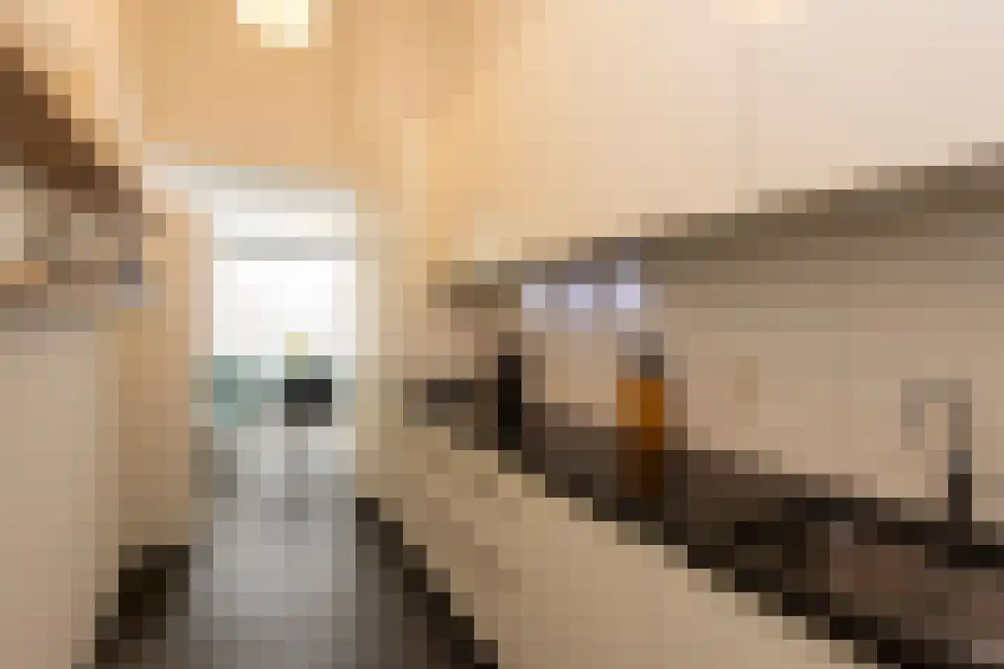 Kastanjestraat 27 Tilburg thumbnail 9