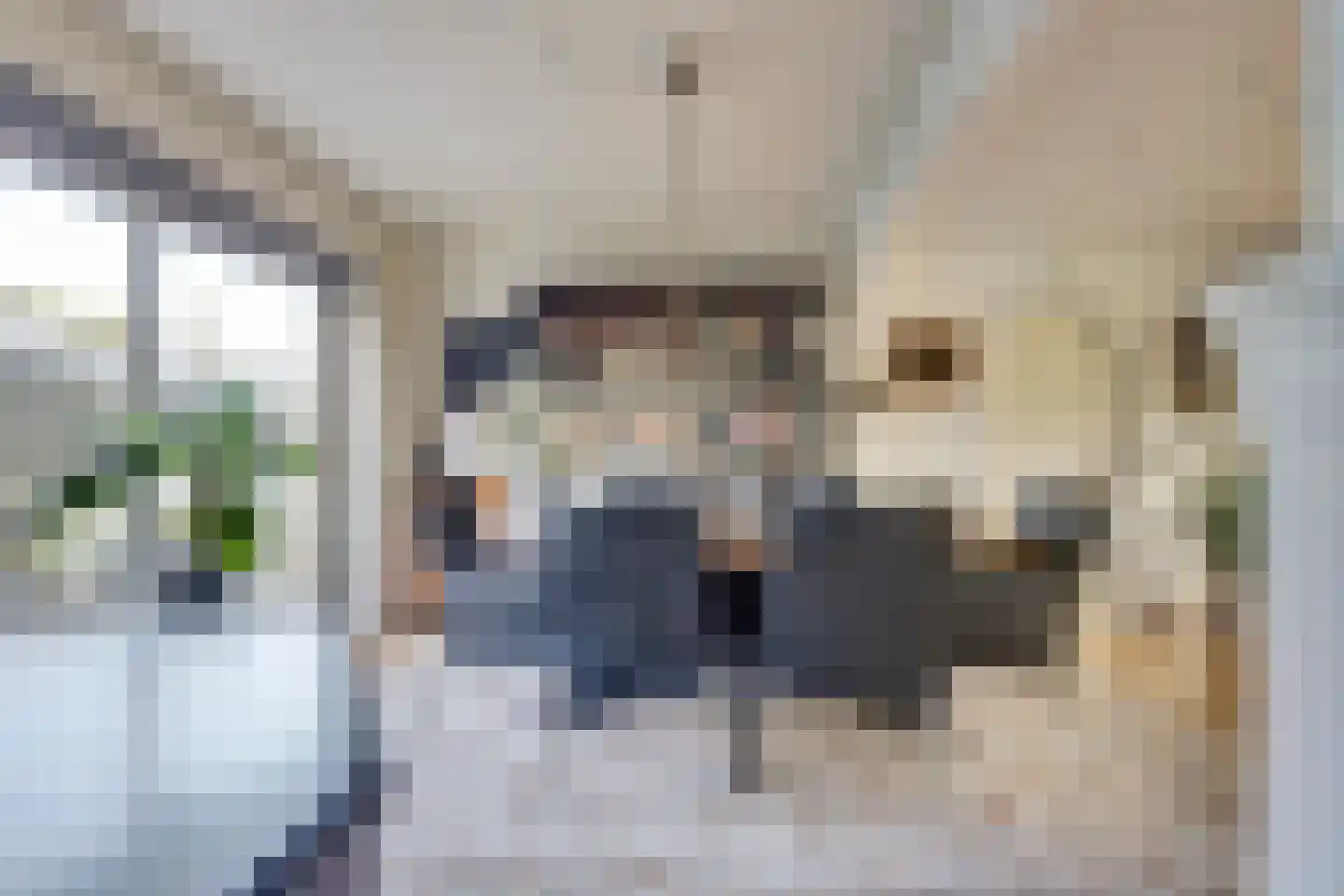 Kastanjestraat 3 's-Gravenpolder thumbnail 11