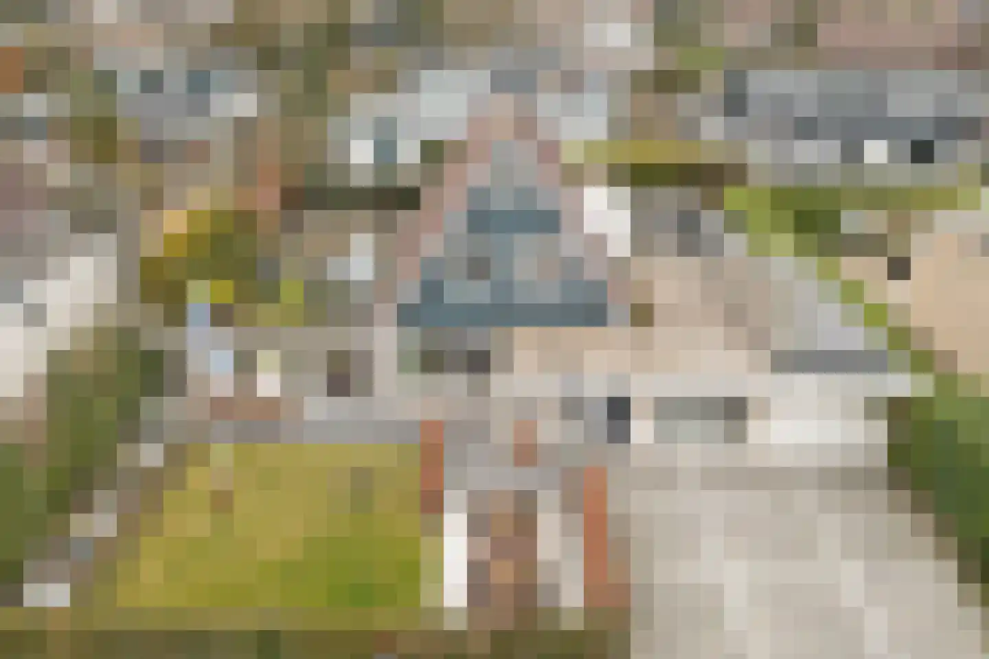 Kastanjestraat 3 's-Gravenpolder thumbnail 44