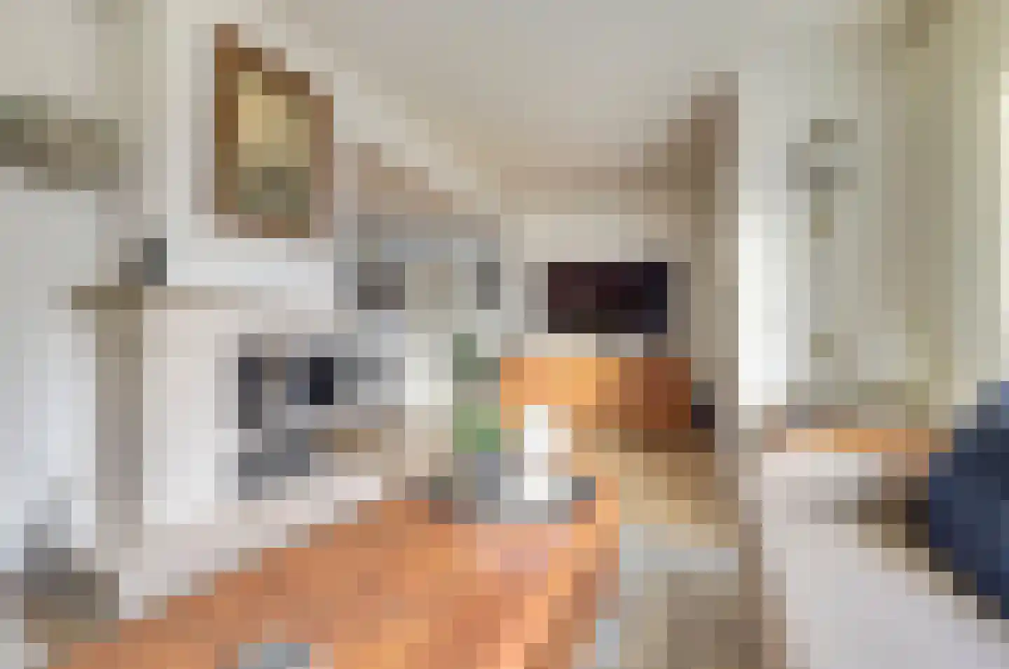 Kastanjestraat 3 's-Gravenpolder thumbnail 6