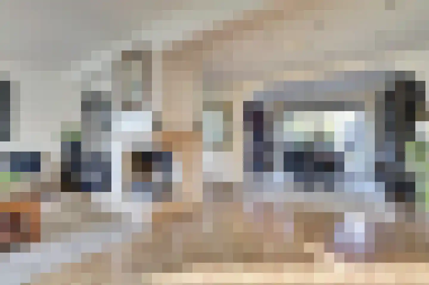 Kastanjestraat 3 's-Gravenpolder thumbnail 7