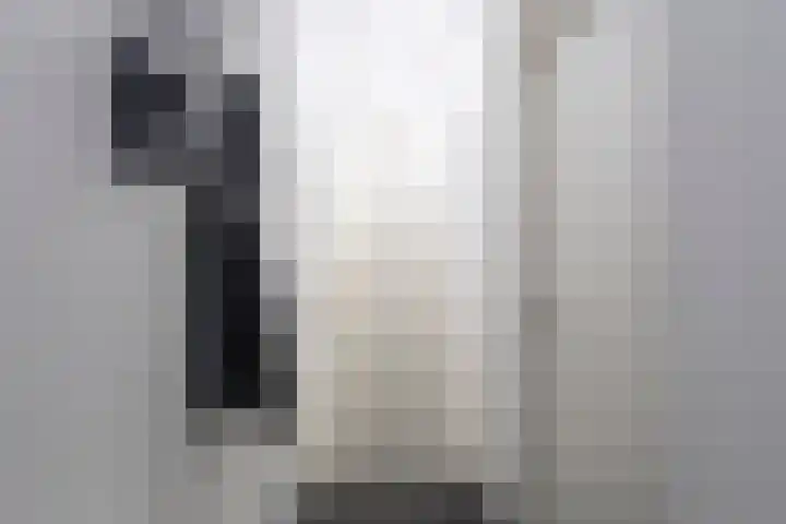 Kastanjestraat 32 Tilburg thumbnail 7
