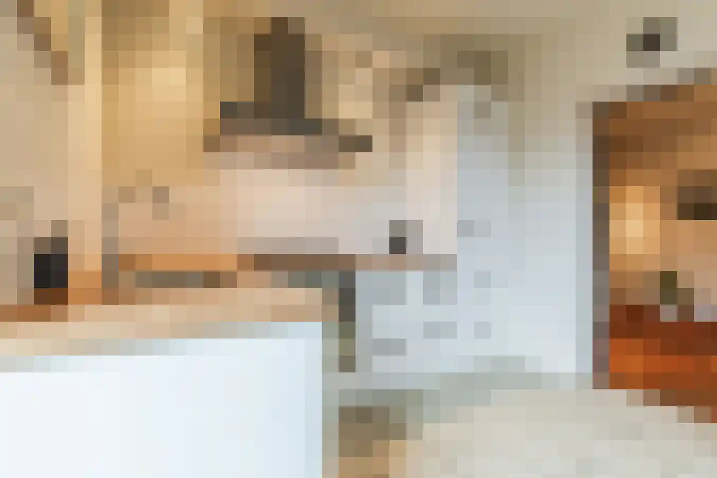 Kastanjestraat 35 Echt thumbnail 15