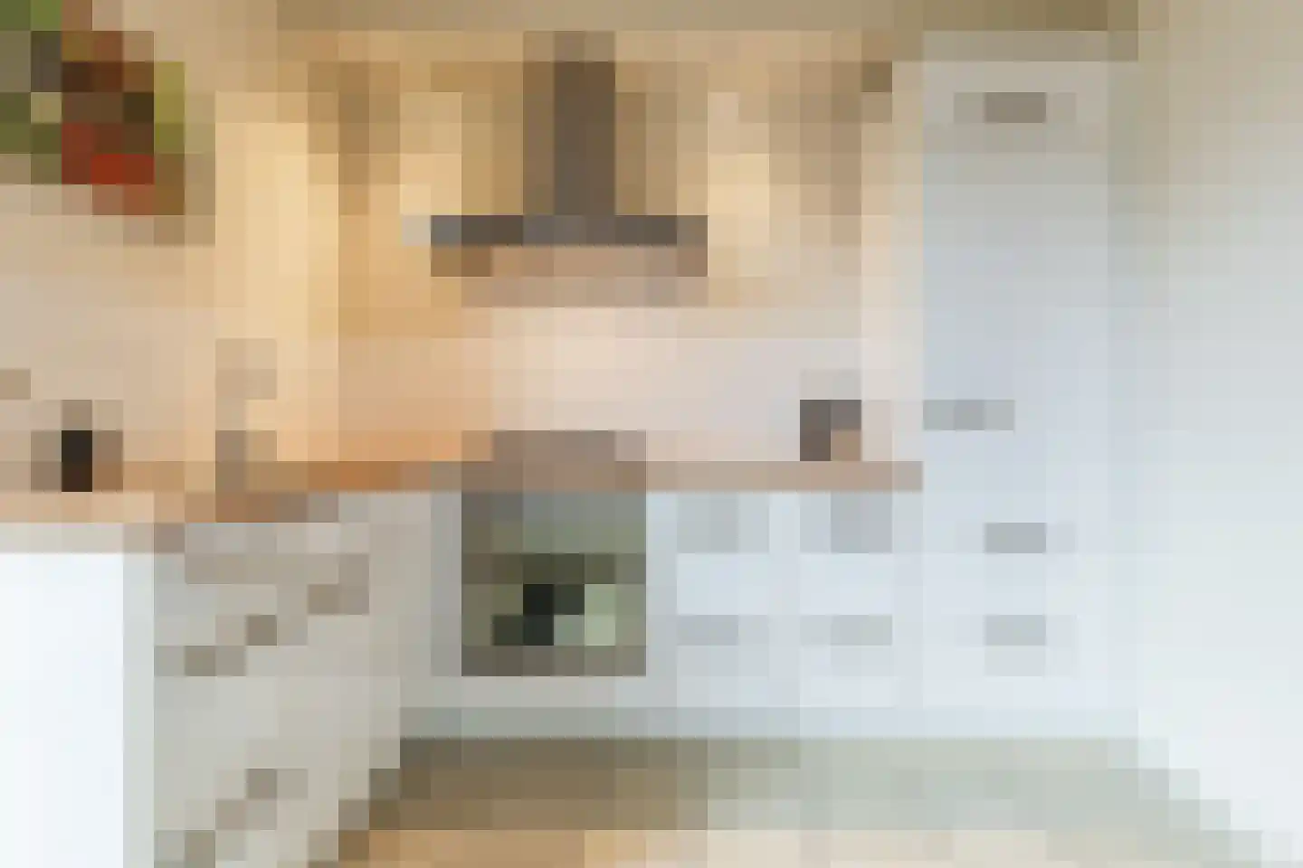 Kastanjestraat 35 Echt thumbnail 16