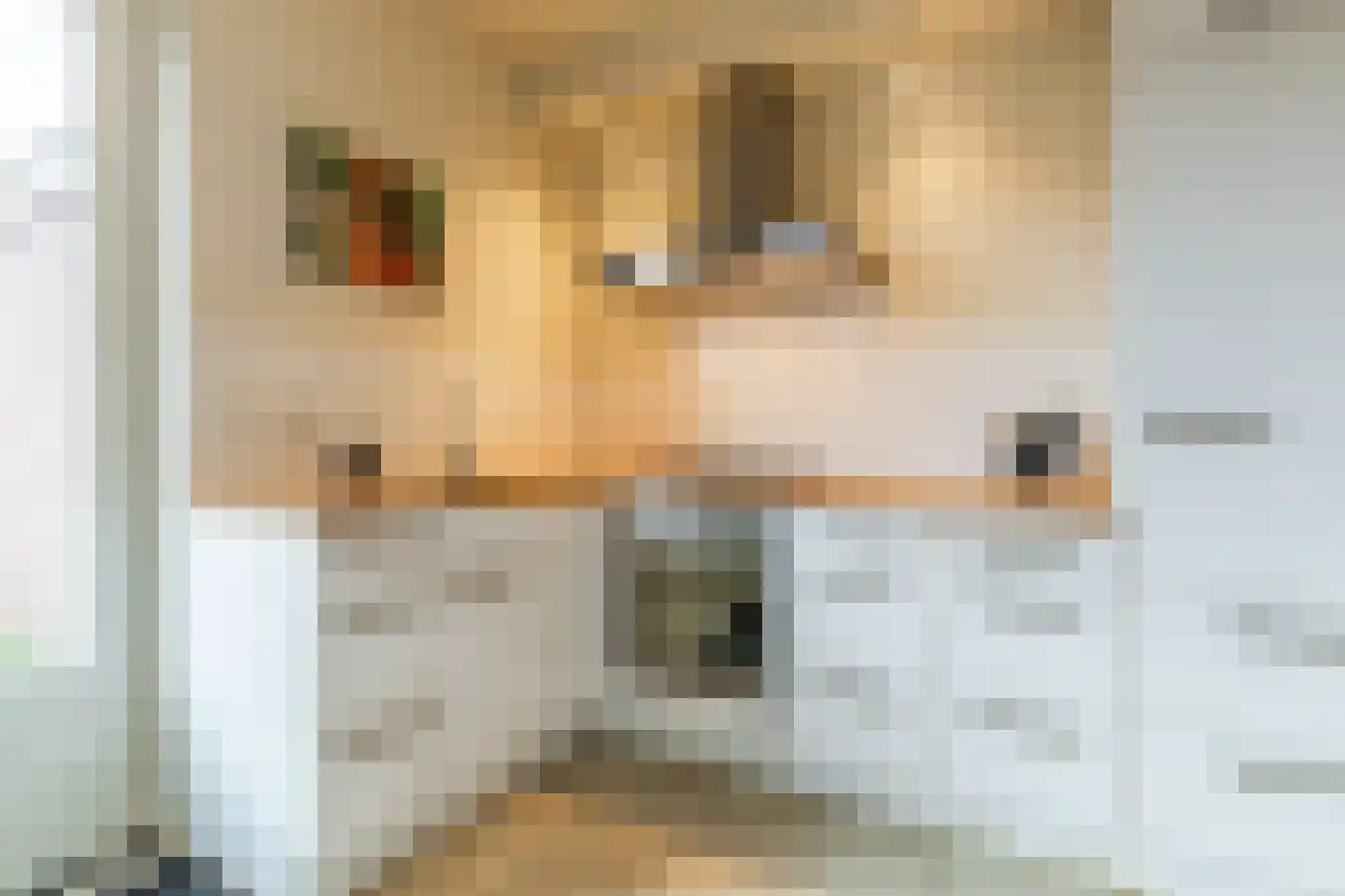 Kastanjestraat 35 Echt thumbnail 18