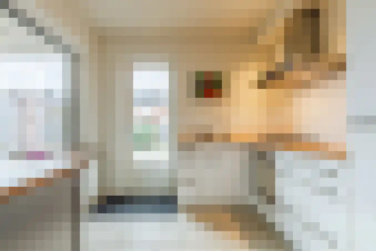 Kastanjestraat 35 Echt thumbnail 19
