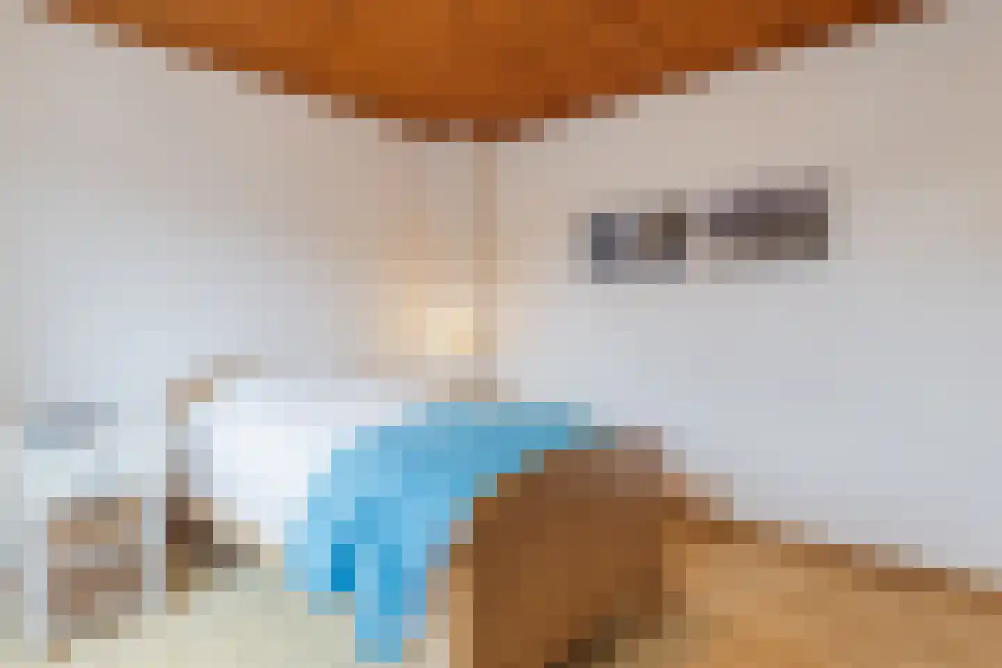 Kastanjestraat 35 Echt thumbnail 31