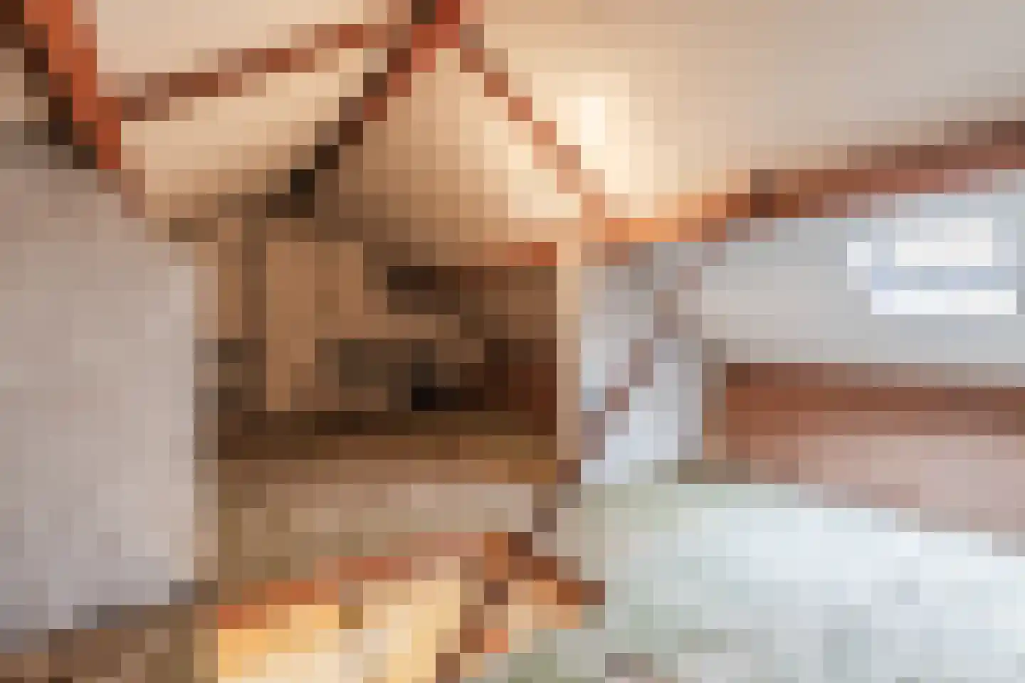 Kastanjestraat 35 Echt thumbnail 40