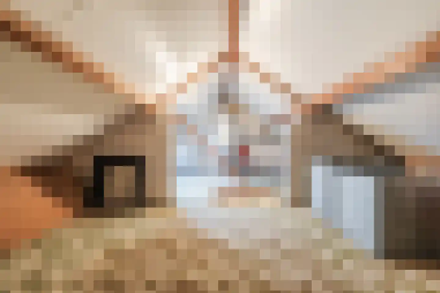 Kastanjestraat 35 Echt thumbnail 41