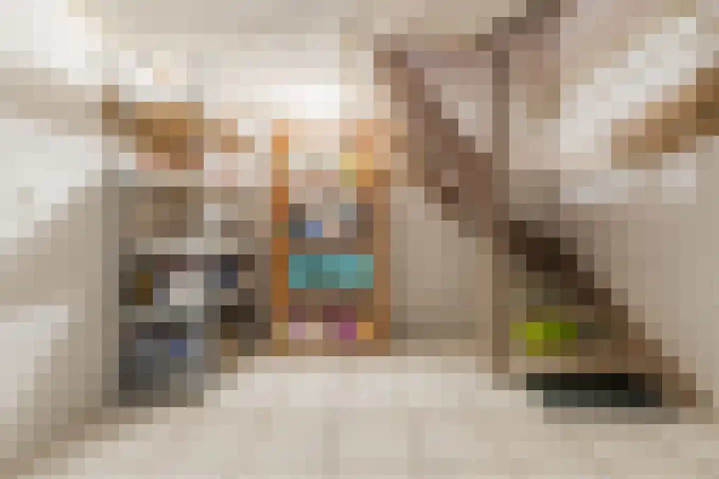 Kastanjestraat 35 Echt thumbnail 42