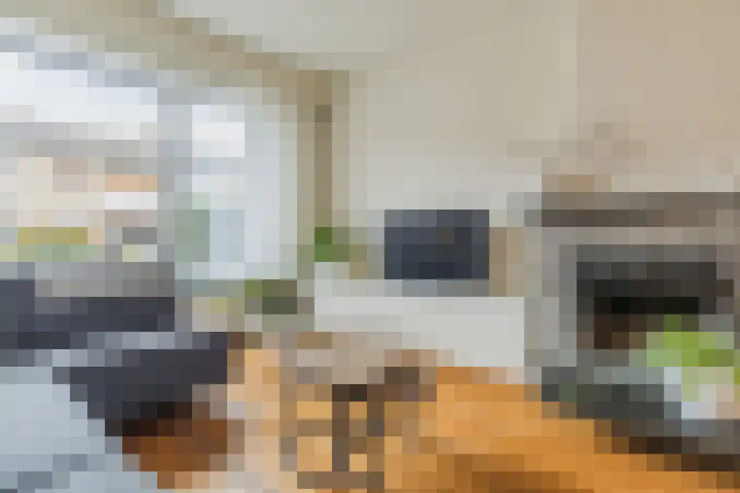 Kastanjestraat 35 Echt thumbnail 7