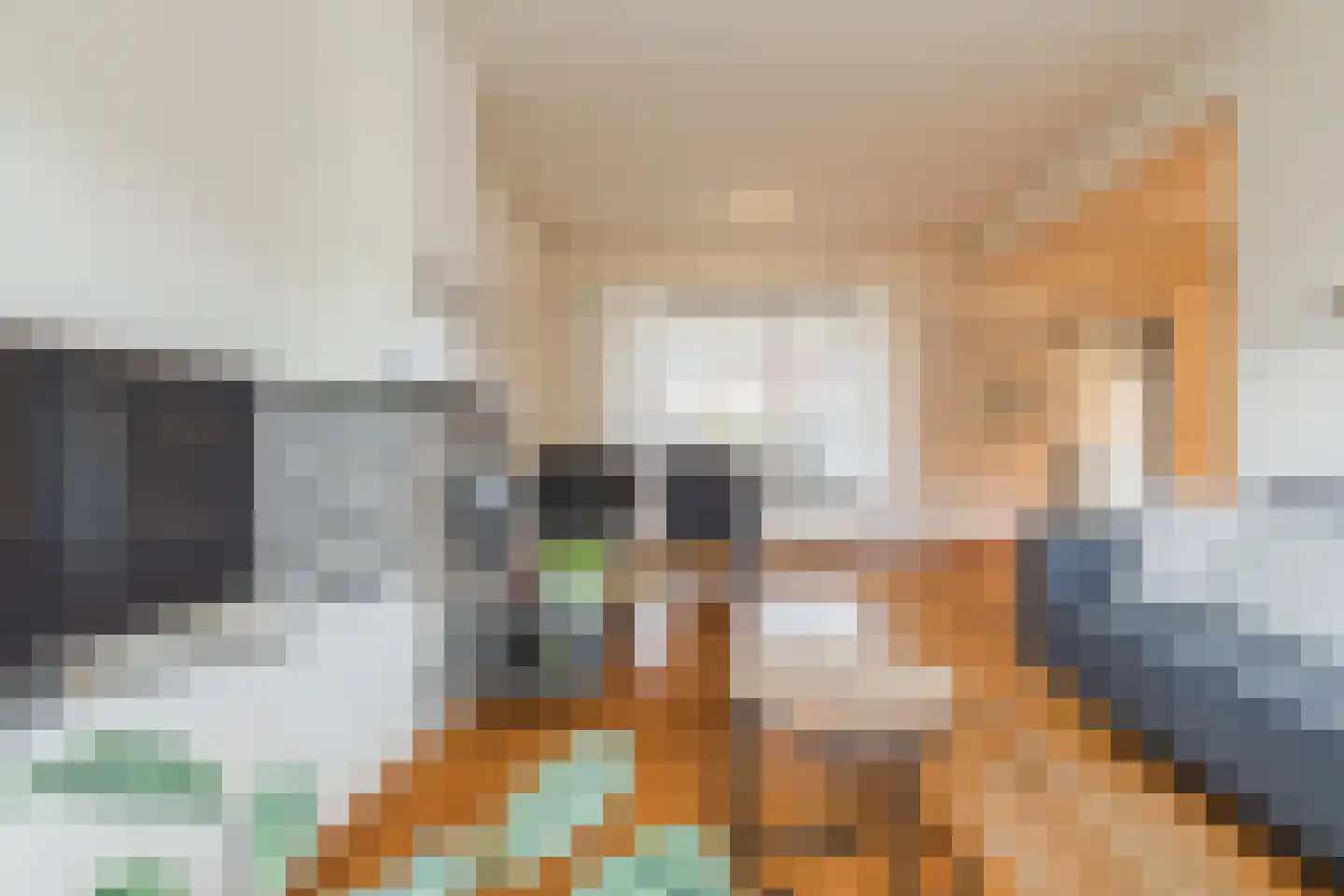 Kastanjestraat 35 Echt thumbnail 9