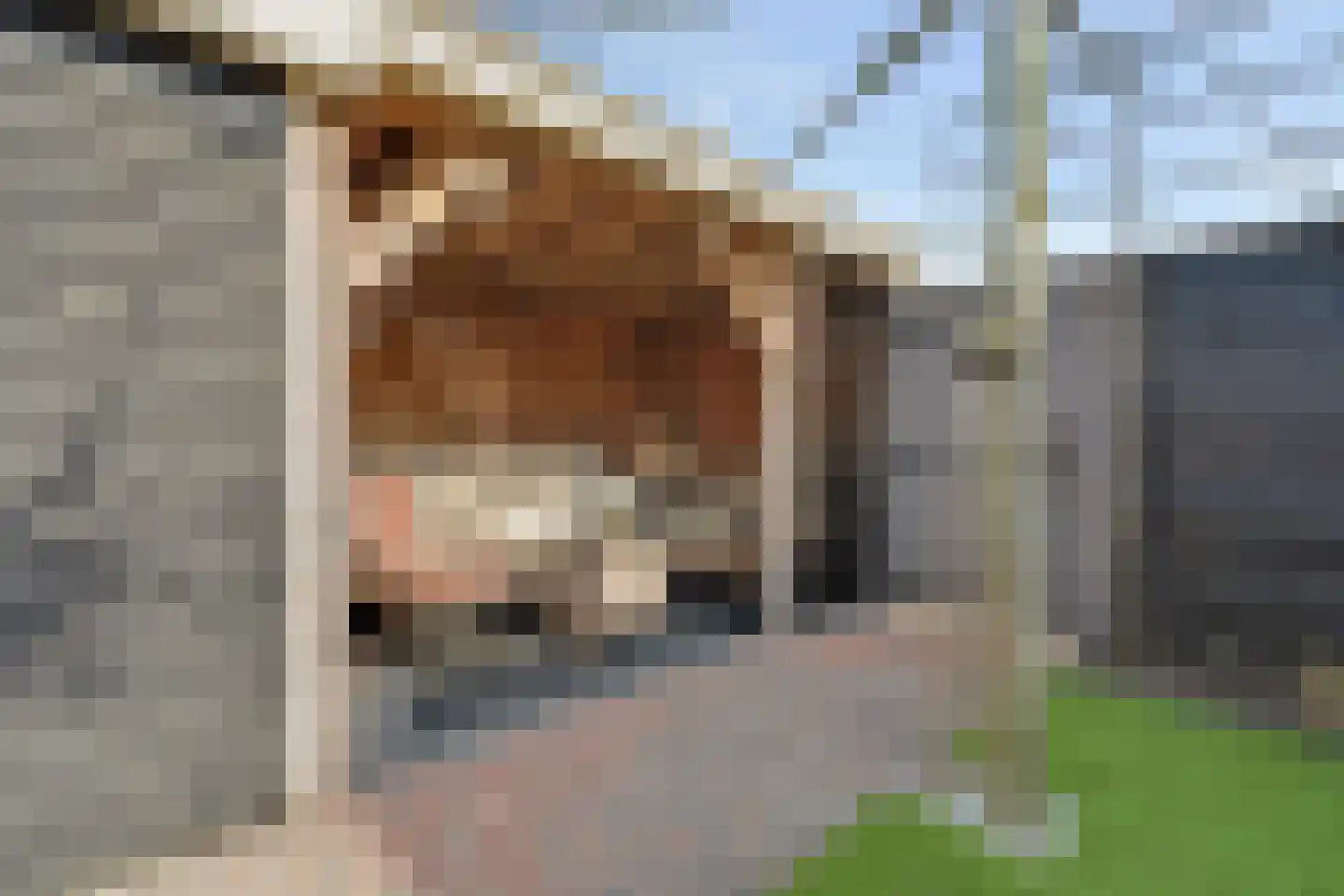 Kastanjestraat 35 's-Gravenpolder thumbnail 35