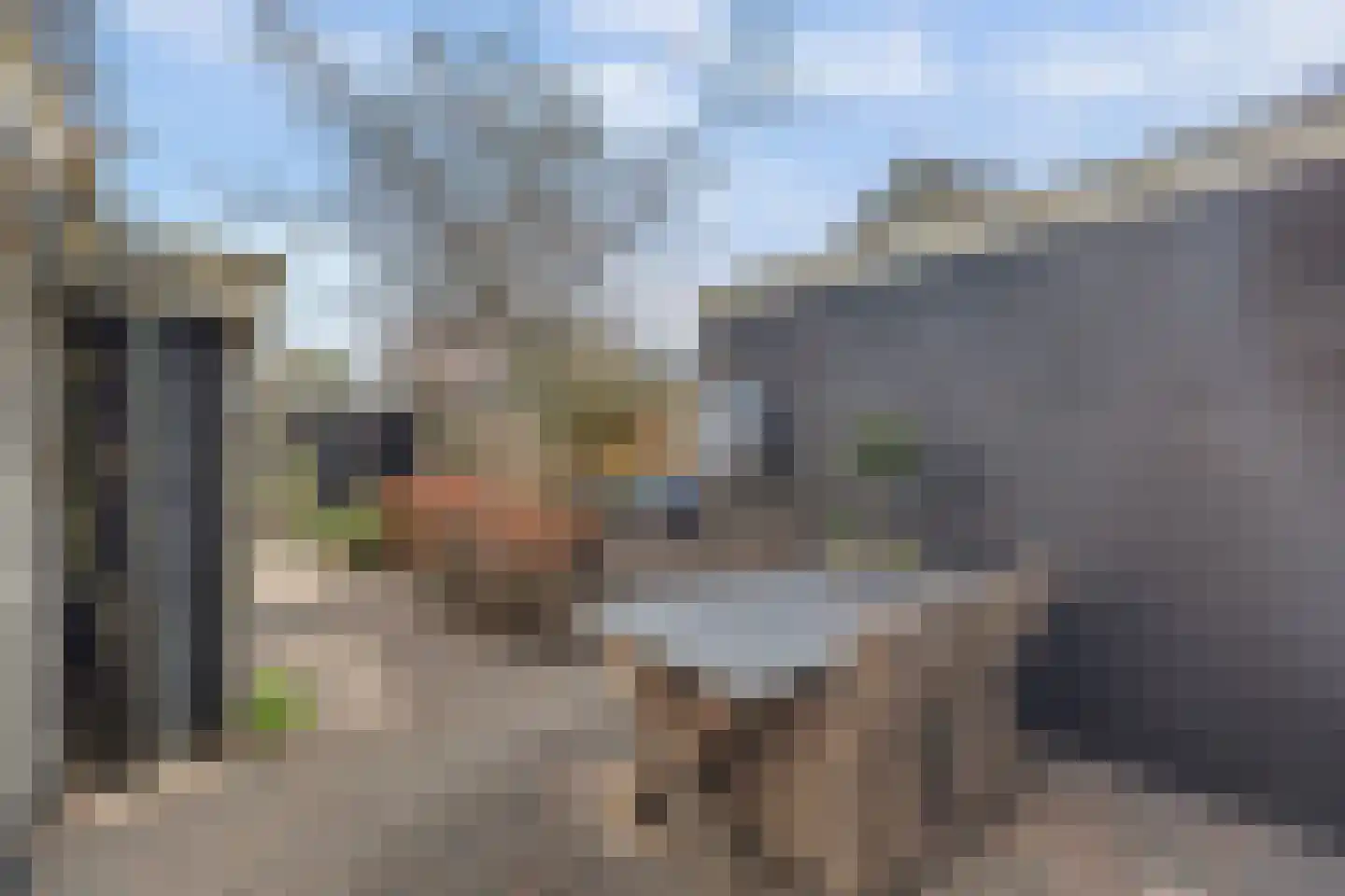 Kastanjestraat 35 's-Gravenpolder thumbnail 36