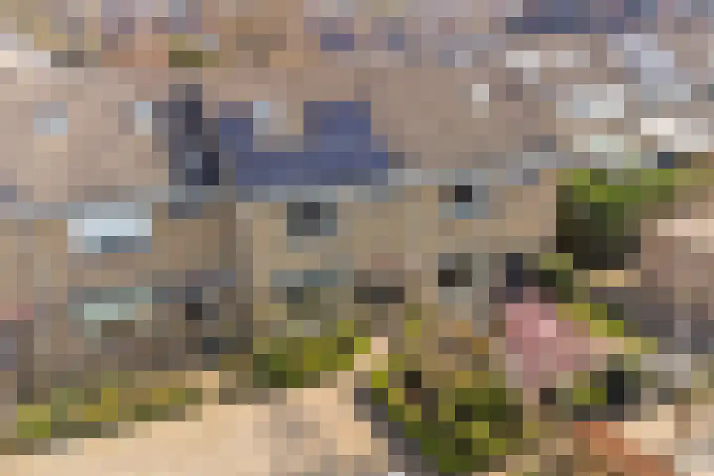 Kastanjestraat 35 's-Gravenpolder thumbnail 38