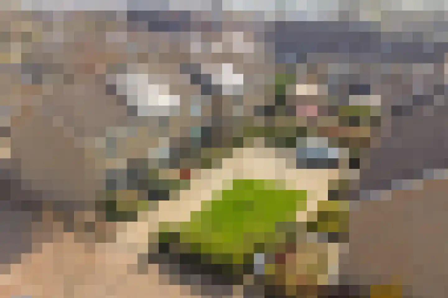Kastanjestraat 35 's-Gravenpolder thumbnail 39