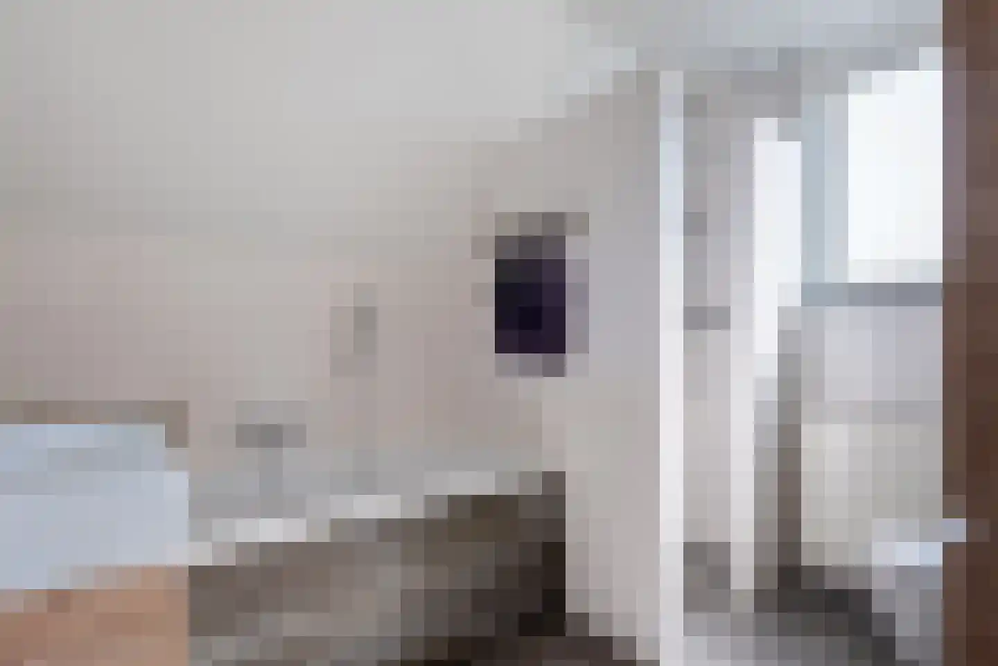 Kastanjestraat 4 Sint-Oedenrode thumbnail 32