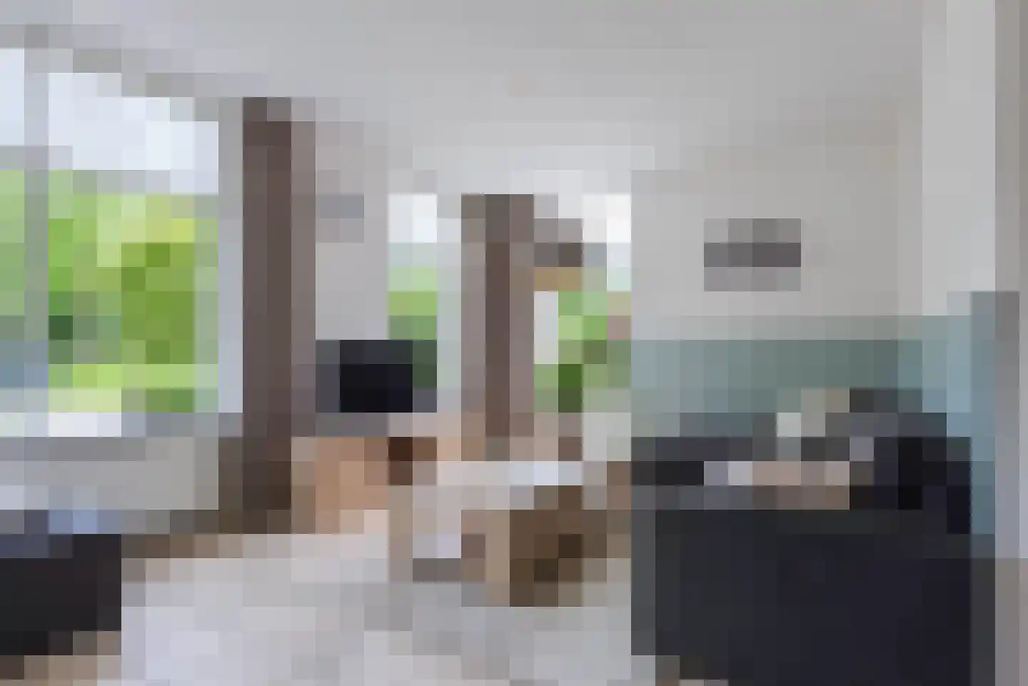 Kastanjestraat 4 Sint-Oedenrode thumbnail 8