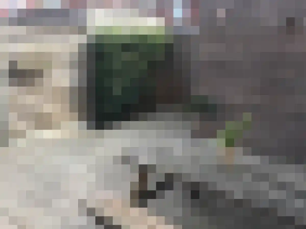 Kastanjestraat 4 Utrecht thumbnail 4