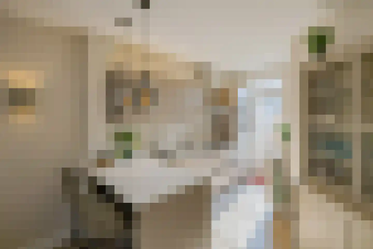 Kastanjestraat 46 IJmuiden thumbnail 4