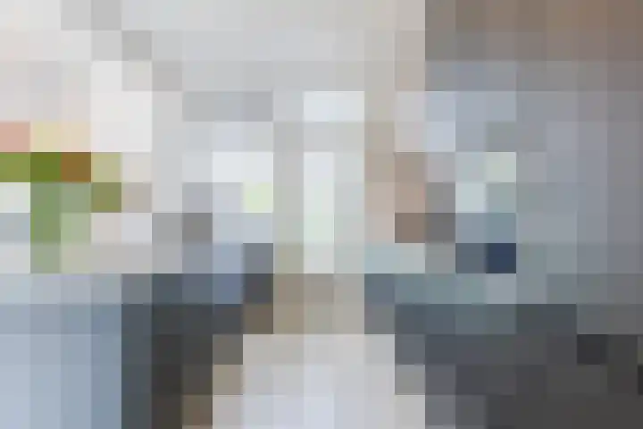 Kastanjestraat 47 Echt thumbnail 17