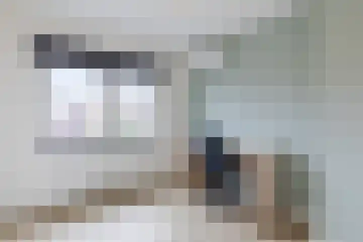 Kastanjestraat 47 Echt thumbnail 30