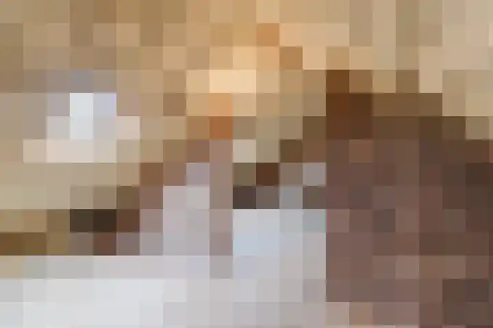 Kastanjestraat 47 Echt thumbnail 39
