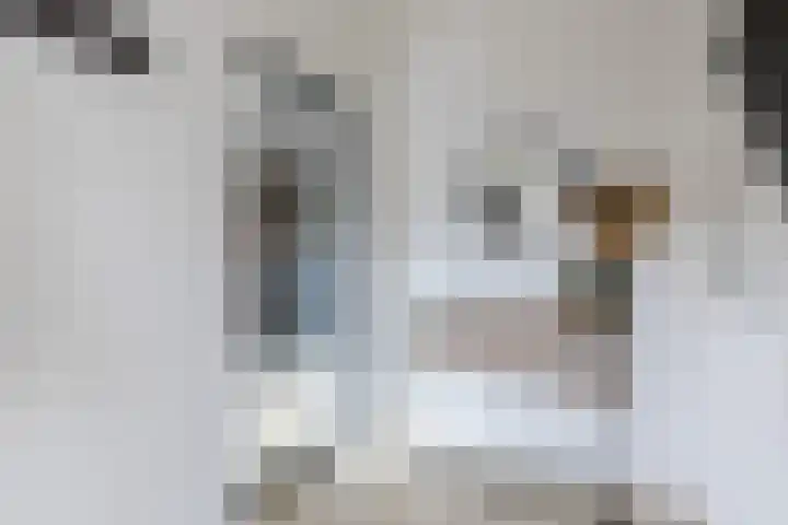 Kastanjestraat 47 Echt thumbnail 7