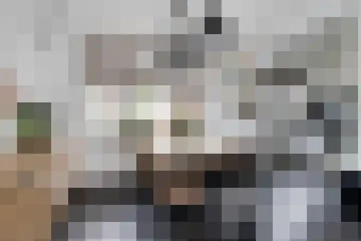 Kastanjestraat 5 Numansdorp thumbnail 8