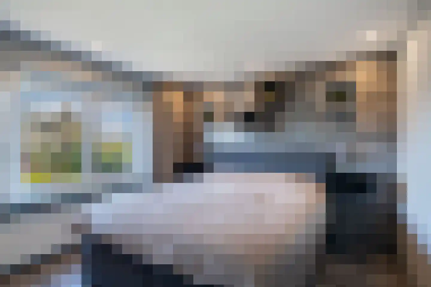 Kastanjestraat 5 Uitgeest thumbnail 30