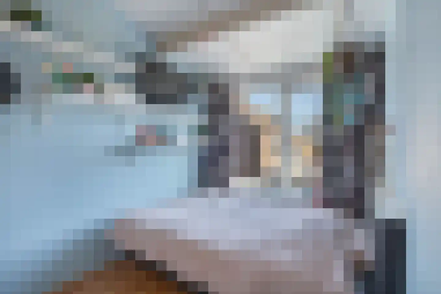 Kastanjestraat 5 Uitgeest thumbnail 32