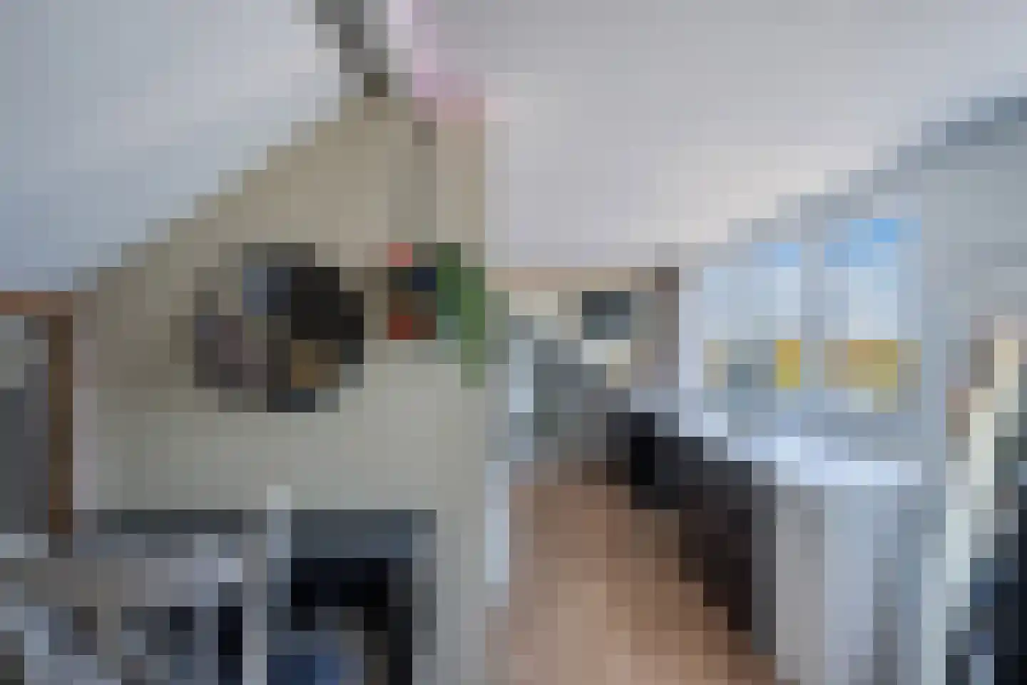 Kastanjestraat 5 Uitgeest thumbnail 36