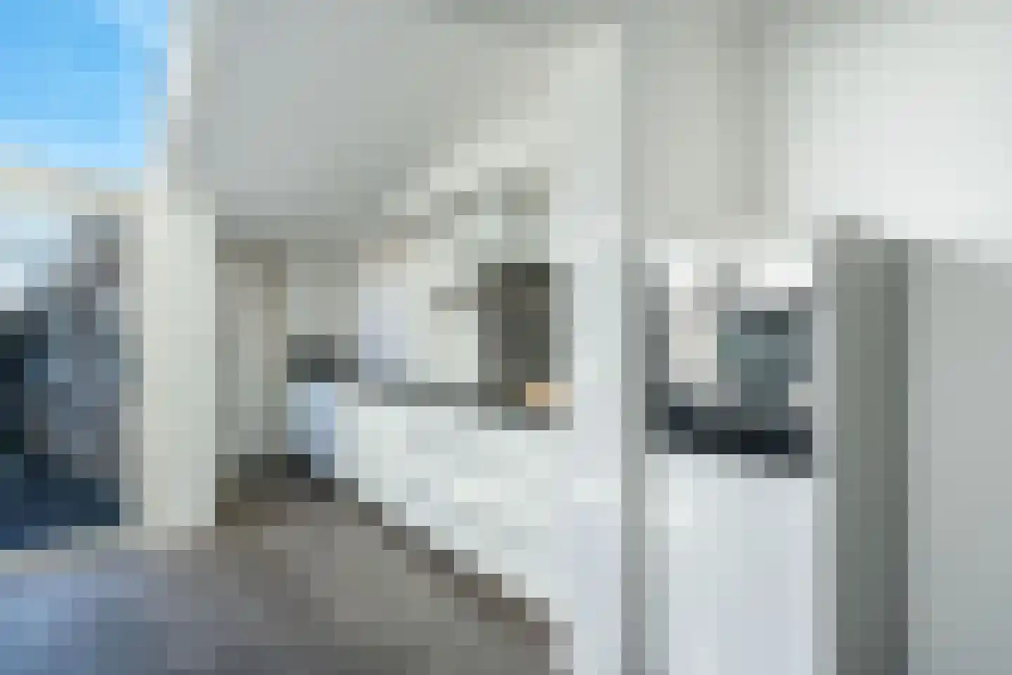 Kastanjestraat 5 Uitgeest thumbnail 4