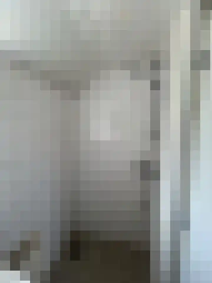 Kastanjestraat 5 Ulft thumbnail 4