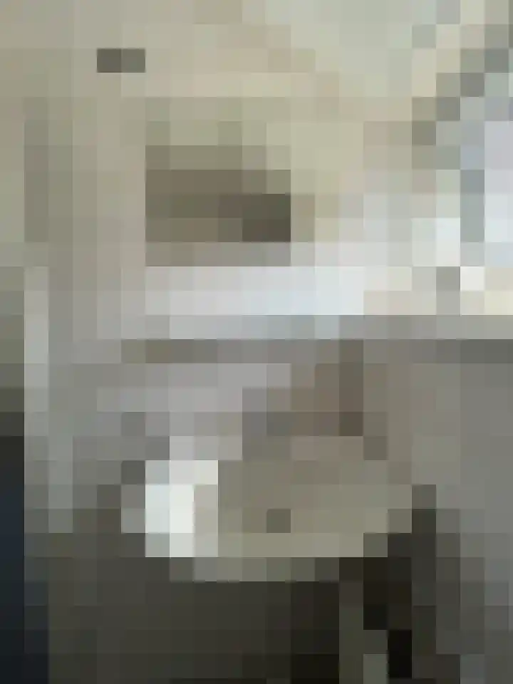 Kastanjestraat 5 Ulft thumbnail 5