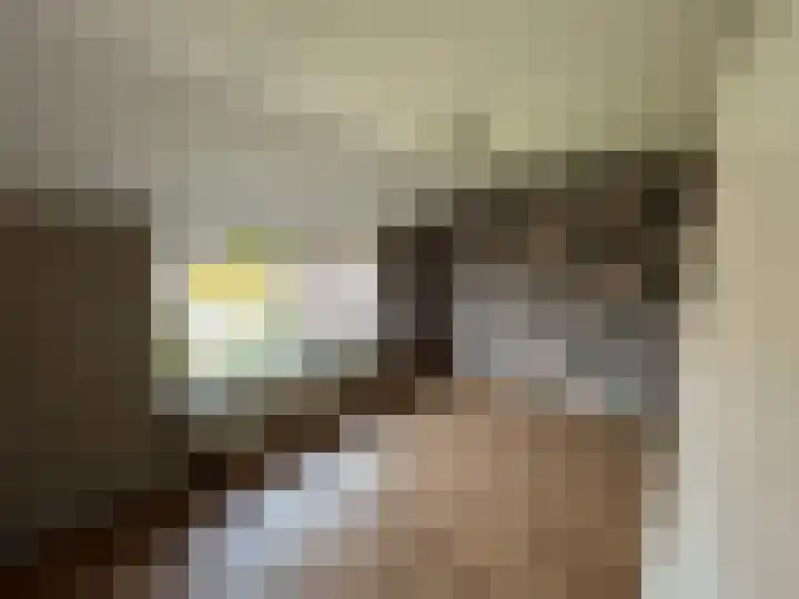 Kastanjestraat 5 Ulft thumbnail 8