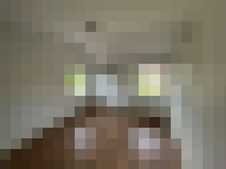 Kastanjestraat 5 Ulft thumbnail 11