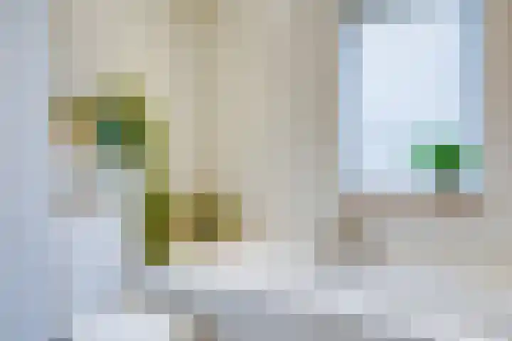 Kastanjestraat 7 Utrecht thumbnail 34