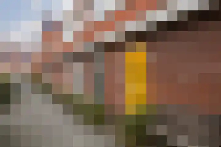 Kastanjestraat 7 Utrecht thumbnail 6