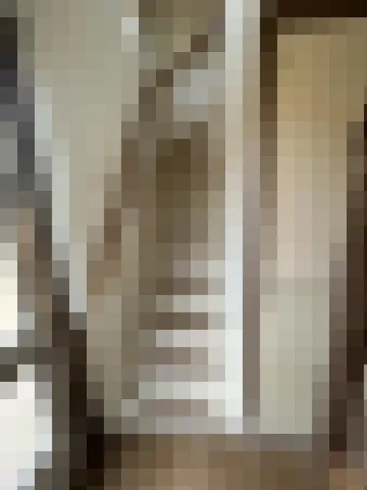 Kastanjestraat 8 Ulft thumbnail 13